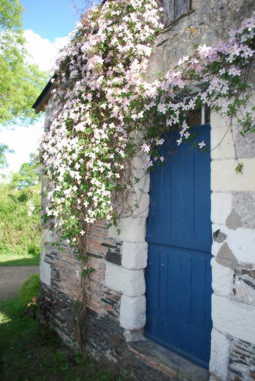 La Petite Boire - Chambres D'Hotes Pres D'Angers Murs-Erigne Exterior photo